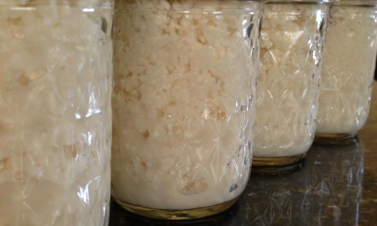 Homemade Horseradish